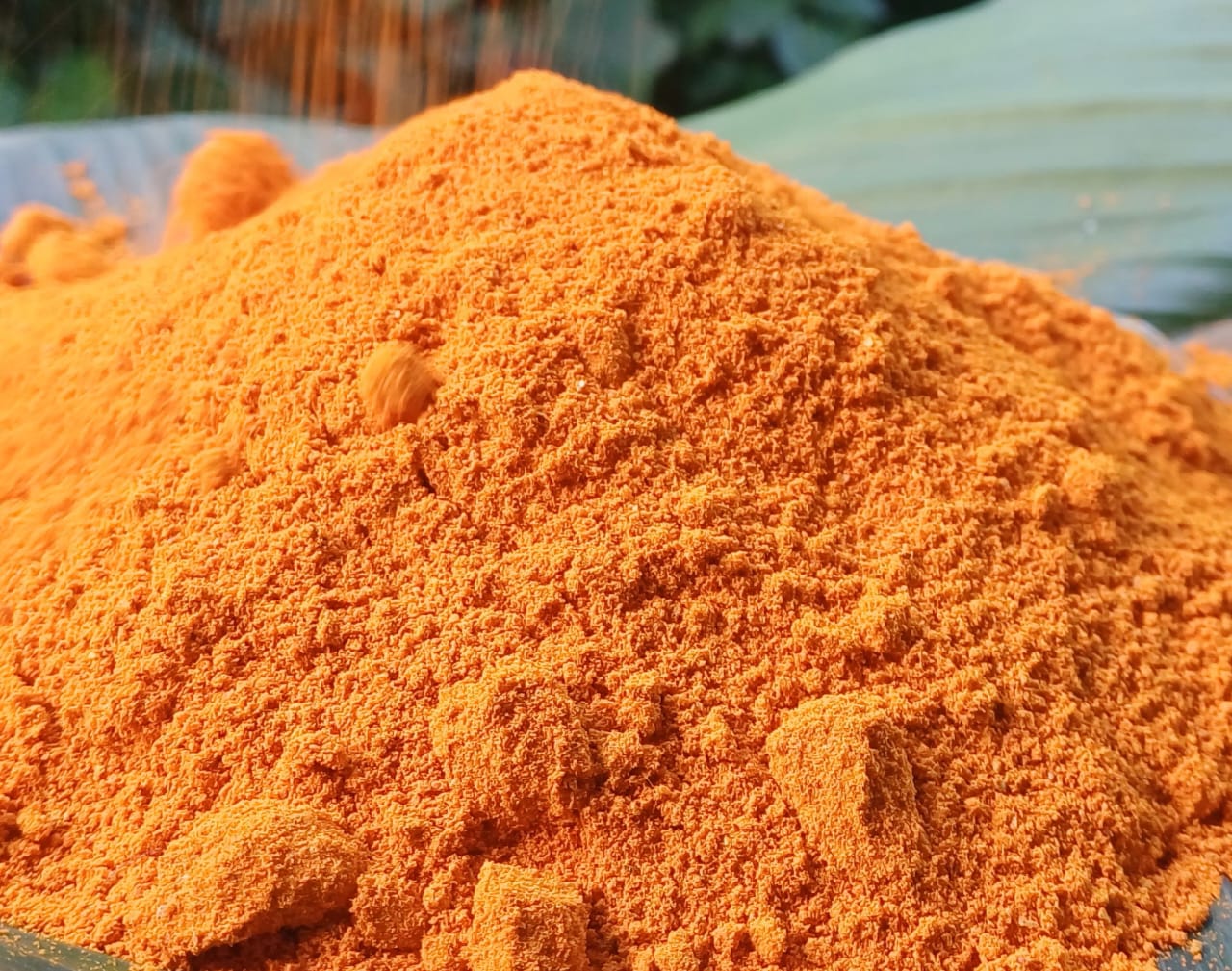 Botanical Active Extract